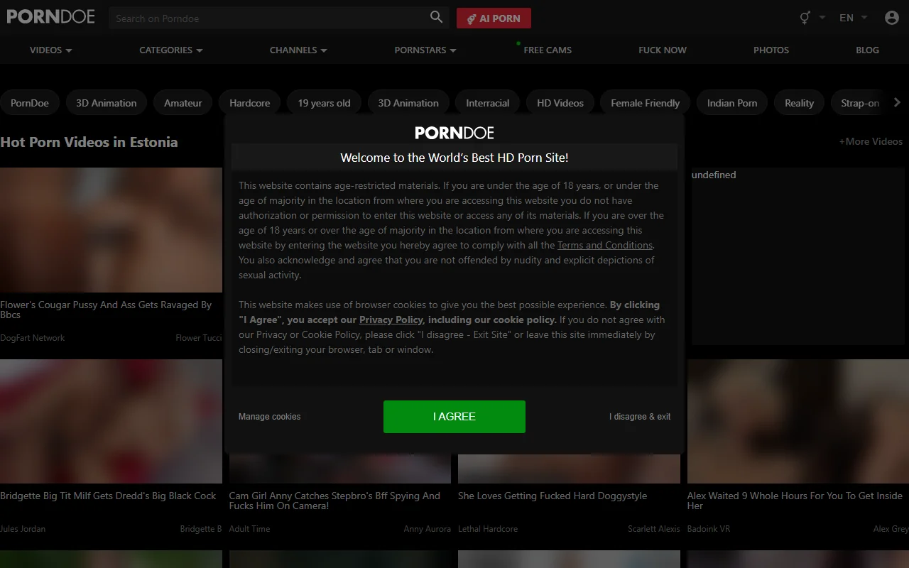 Screenshot: Porndoe Screenshot of Porndoe